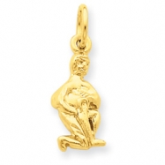 Picture of 14k Aquarius Zodiac Charm