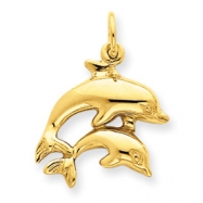 Picture of 14k Dolphin Charm
