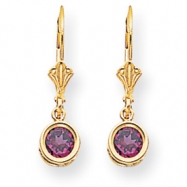 Picture of 14k 5mm Rhodalite Garnet leverback earring