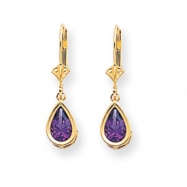 Picture of 14k  8x5mm Amethyst Dangle Earrings