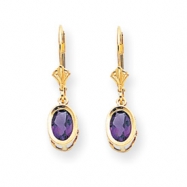 Picture of 14k 7x5mm Oval Amethyst leverback earring
