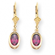 Picture of 14k 7x5mm Oval Rhodalite Garnet leverback earring