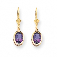 Picture of 14k 8x6mm Oval Amethyst leverback earring