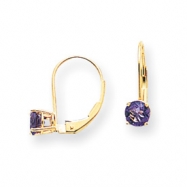 Picture of 14k 5mm Amethyst leverback earring