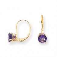 Picture of 14k 6mm Amethyst leverback earring