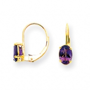 Picture of 14k 7x5mm Oval Amethyst leverback earring