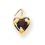 Picture of 14ky January Birthstone Heart Charm