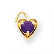 Picture of 14ky February Birthstone Heart Charm