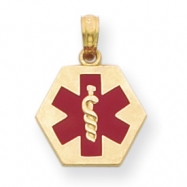 Picture of 14k Enameled Medical Disk Pendant