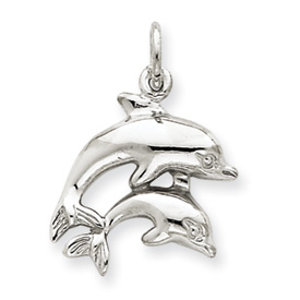 Picture of 14k White Gold Dolphin Charm