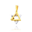 14K Two-Tone Star of David Charm