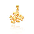 14K Yellow Gold Polished Dragon Charm