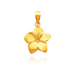 14K Yellow Gold Diamond-Cut & Satin Plumeria Charm