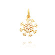 14K Yellow Gold Simple Polished Snowflake Charm