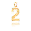 14K Gold Large Diamond-Cut Number 2 Charm