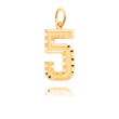 14K Gold Large Diamond-Cut Number 5 Charm