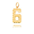14K Gold Large Diamond-Cut Number 6 Charm