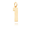14K Gold Large Polished Number 1 Charm