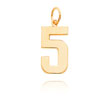 14K Gold Large Polished Number 5 Charm