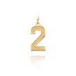 14K Gold Medium Satin Number 2 Charm