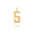 14K Gold Medium Satin Number 5 Charm