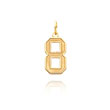 14K Gold Medium Satin Number 8 Charm