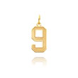 14K Gold Medium Satin Number 9 Charm