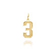 14K Gold Small Satin Number 3 Charm