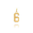 14K Gold Small Satin Number 6 Charm