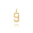 14K Gold Small Satin Number 9 Charm