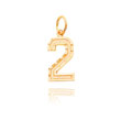 14K Gold Medium Diamond-Cut Number 2 Charm