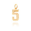 14K Gold Medium Diamond-Cut Number 5 Charm
