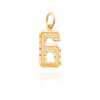 14K Gold Medium Diamond-Cut Number 6 Charm