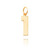 14K Gold Medium Polished Number 1 Charm