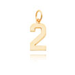 14K Gold Medium Polished Number 2 Charm
