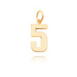 14K Gold Medium Polished Number 5 Charm
