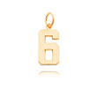 14K Gold Medium Polished Number 6 Charm