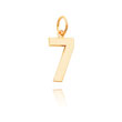 14K Gold Medium Polished Number 7 Charm