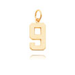 14K Gold Medium Polished Number 9 Charm