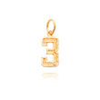 14k Gold Small Diamond-Cut Number 3 Charm