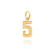 14K Gold Small Diamond-Cut Number 5 Charm