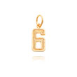 14K Gold Small Diamond-Cut Number 6 Charm