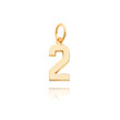 14K Gold Small Polished Number 2 Charm