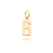14K Gold Small Polished Number 6 Charm
