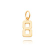 14K Gold Small Polished Number 8 Charm