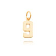14K Gold Small Polished Number 9 Charm