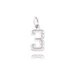 14K White Gold Small Diamond-Cut Number 3 Charm