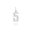 14K White Gold Small Diamond-Cut Number 5 Charm