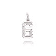 14K White Gold Small Diamond-Cut Number 6 Charm