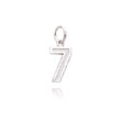 14K White Gold Small Diamond-Cut Number 7 Charm